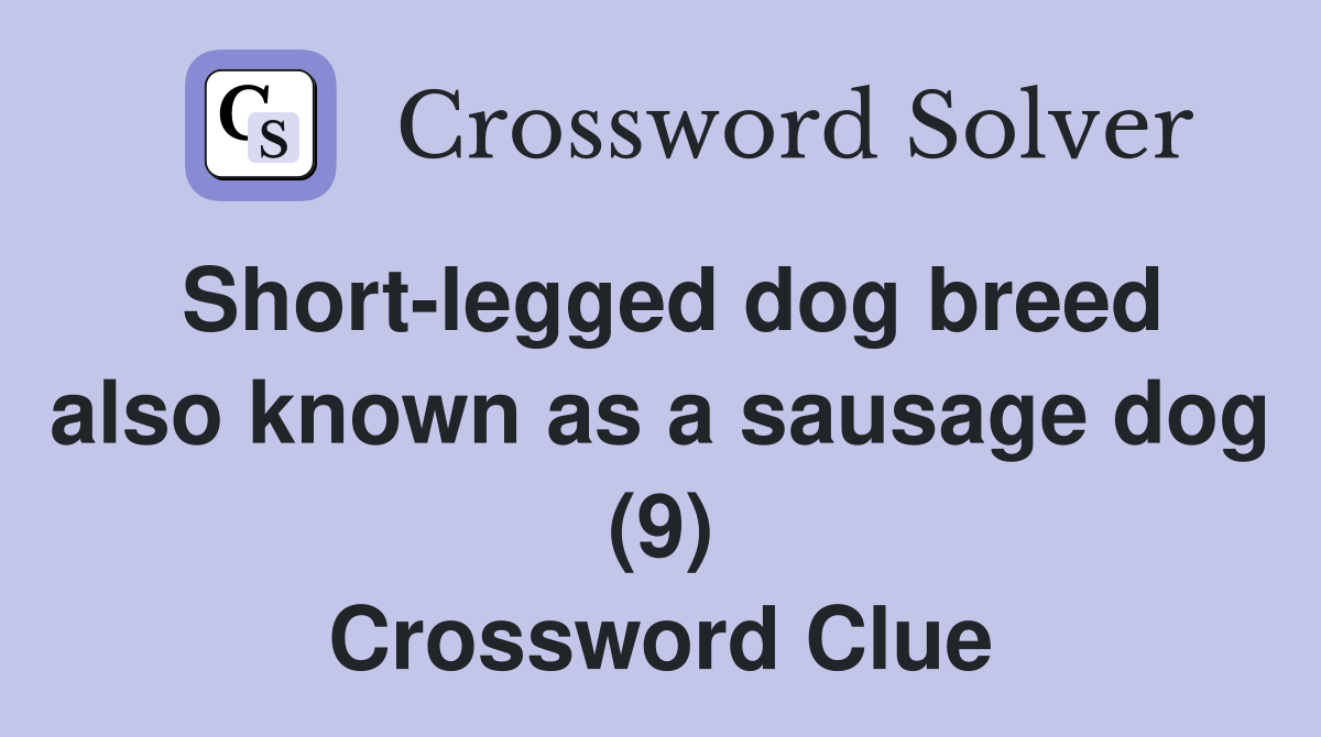 Shortlegged dog breed also known as a sausage dog (9) Crossword Clue
